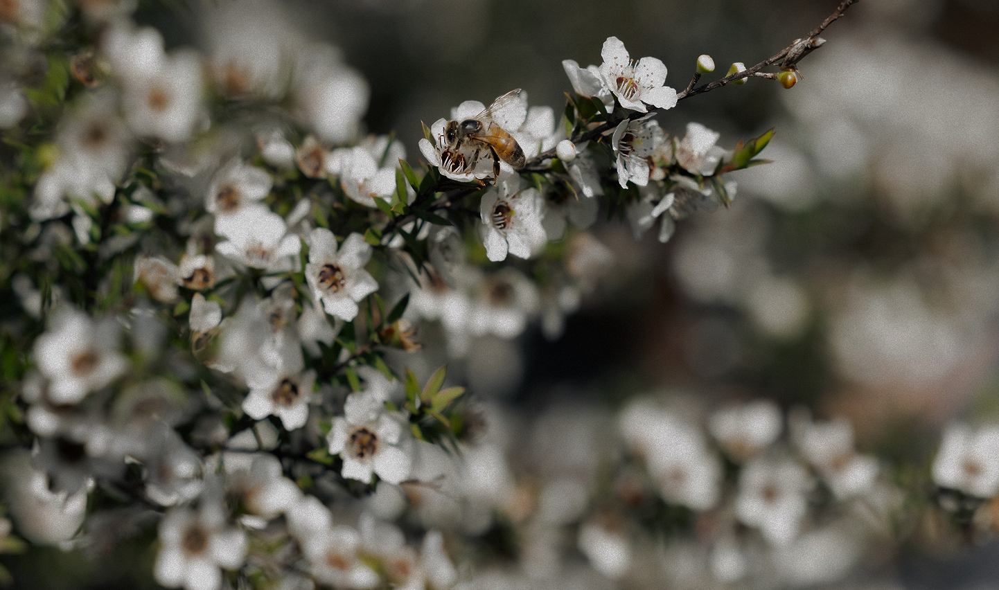 Wellness rituals to get through the winter blues