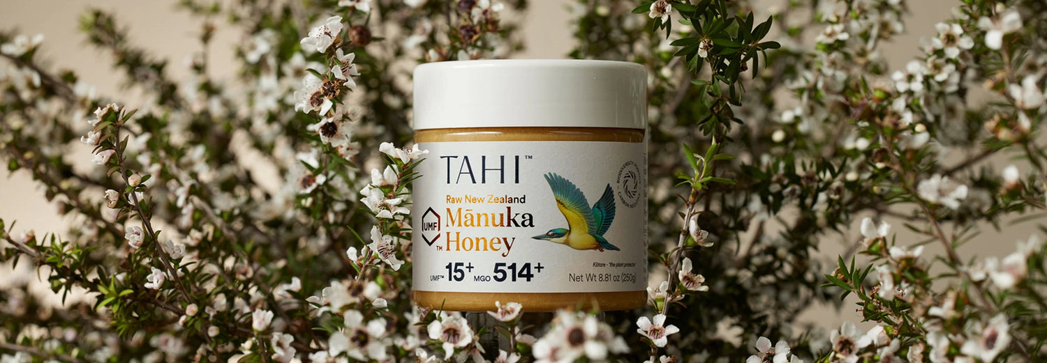 a jar of potent Tahi monofloral Manuka honey from new zealand certified umf 15+ mgo 500+ high grade and best quality