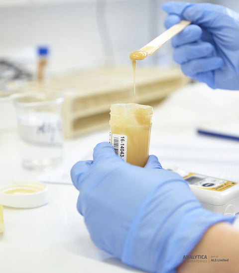 A scientist testing independently tahi manuka honey to confirm manuka honey benefits