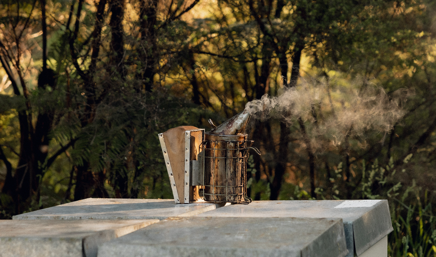 Ethical Beekeeping. Excellent Honey