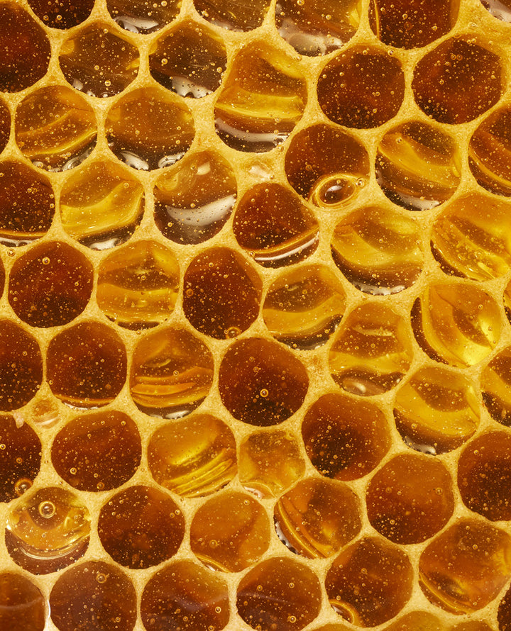 Ethical Beekeeping. Excellent Honey