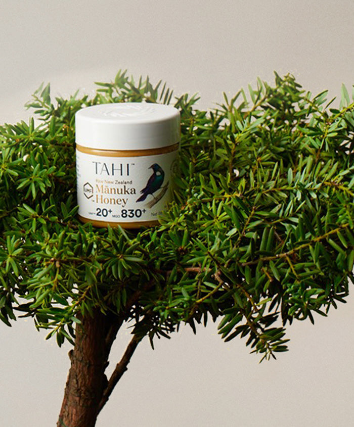 Gifts for Nature Lovers